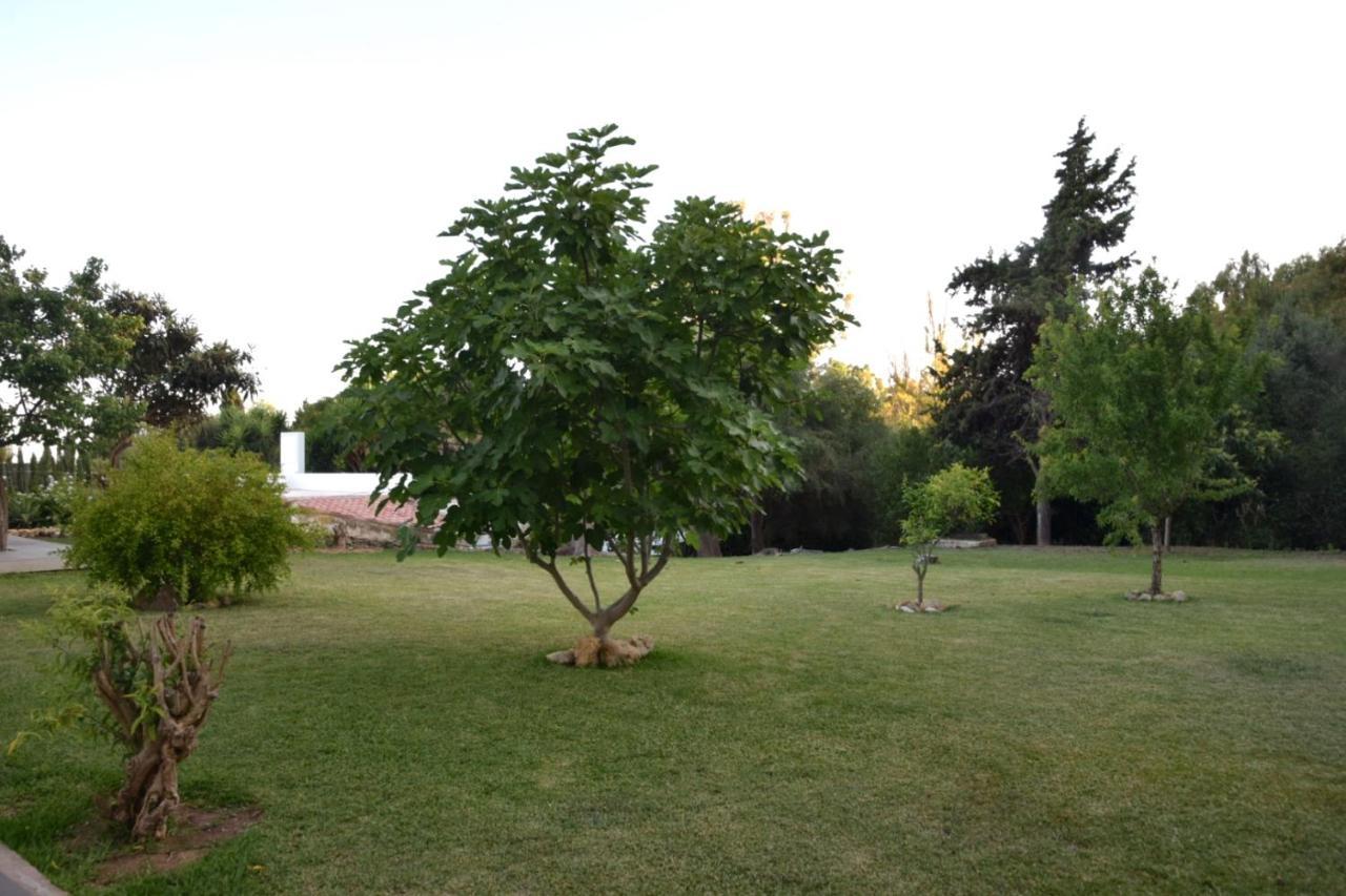 Casa Therese * Marbellac